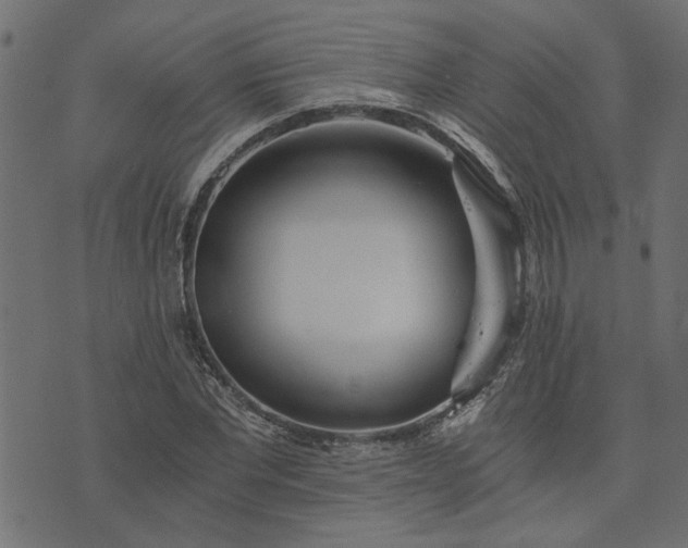 X0000073720877200608171201