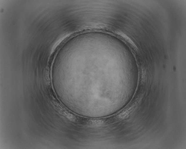 X0000073720878200608171201