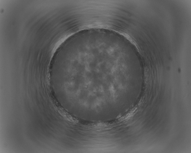 X0000073720879200608171201