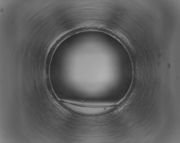 X0000073720880200608171201