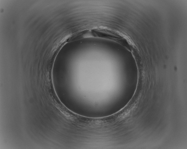 X0000073720881200608171201