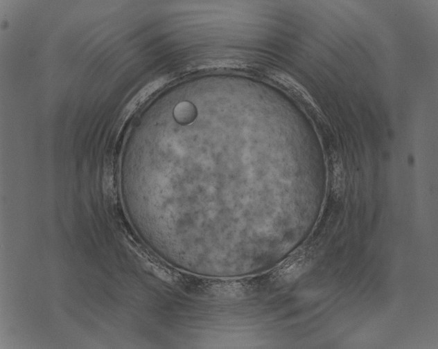 X0000073720882200608171201