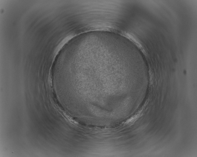 X0000073720883200608171201