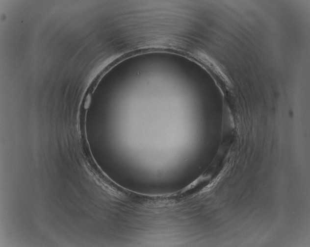 X0000073720884200608171201