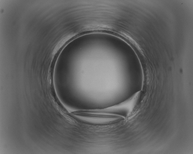 X0000073720885200608171201