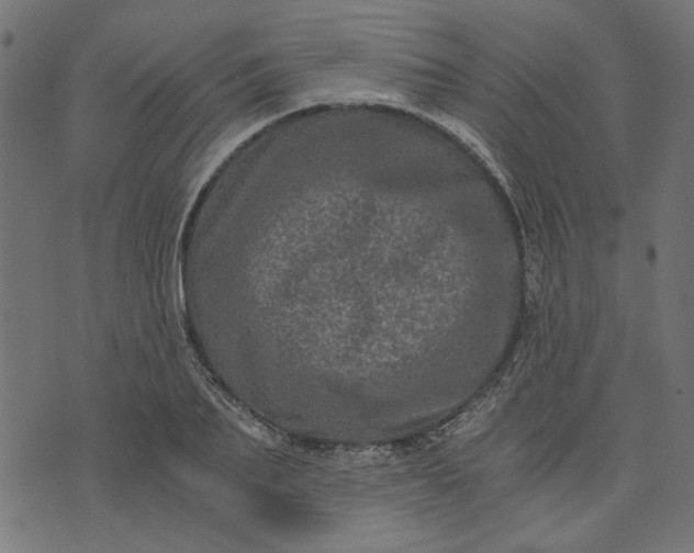 X0000073720887200608171200