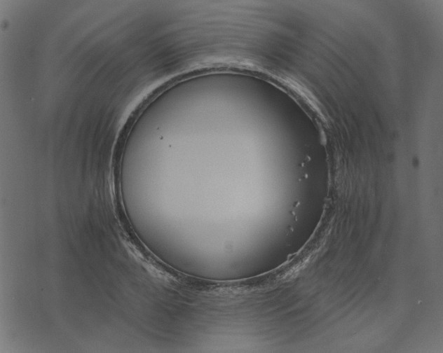 X0000073720888200608171200