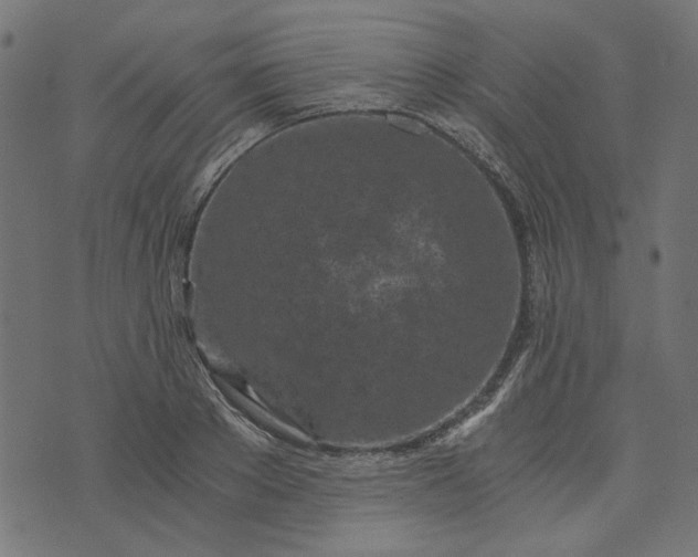 X0000073720889200608171200