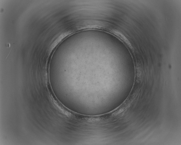 X0000073720890200608171200