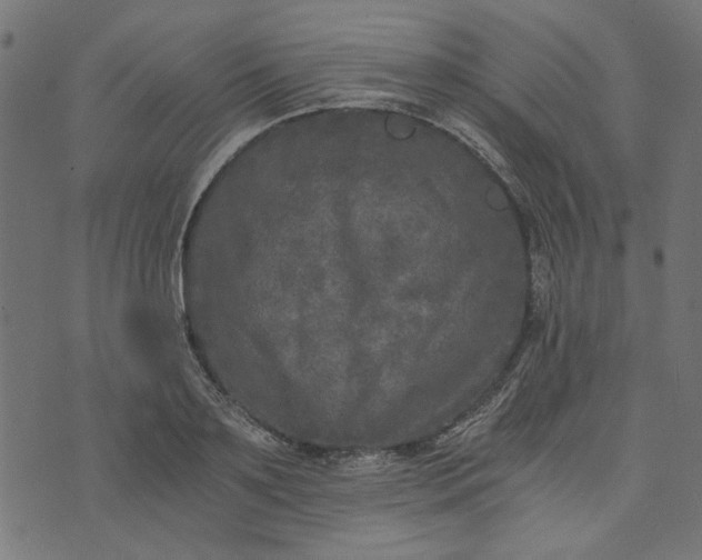 X0000073720891200608171200