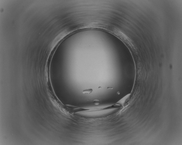 X0000073720892200608171200