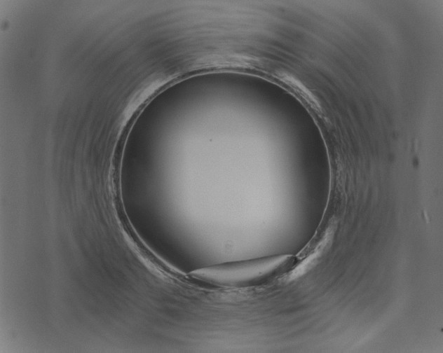 X0000073720893200608171200