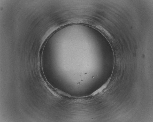 X0000073720894200608171200