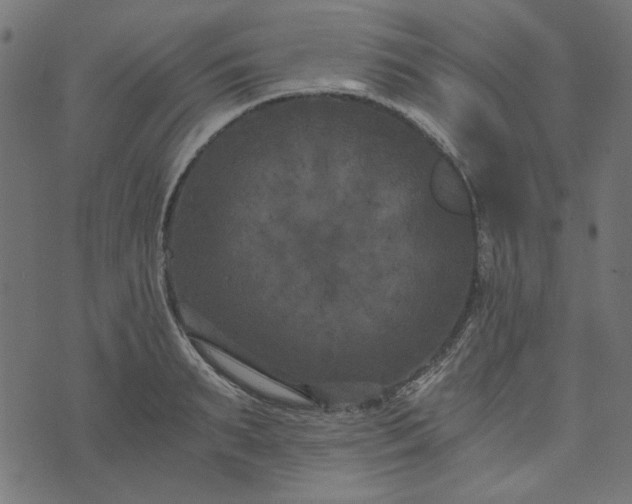 X0000073720895200608171200