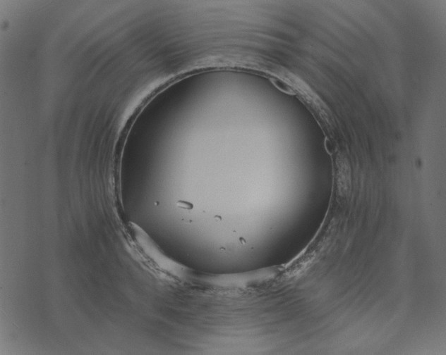 X0000073720896200608171200