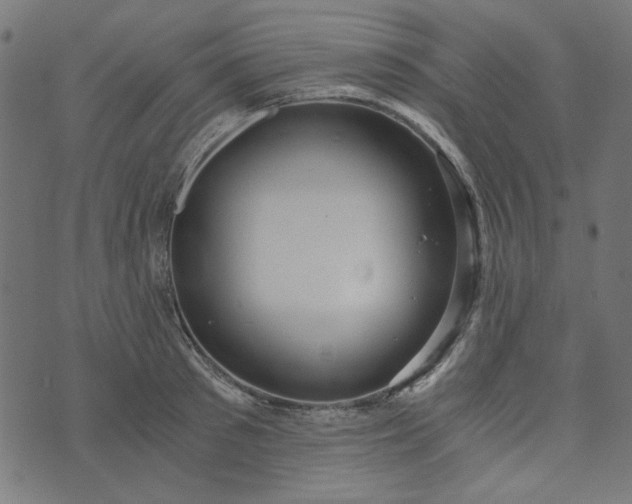 X0000073720897200608171200