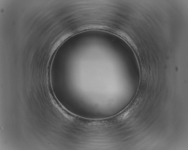 X0000073720898200608171200