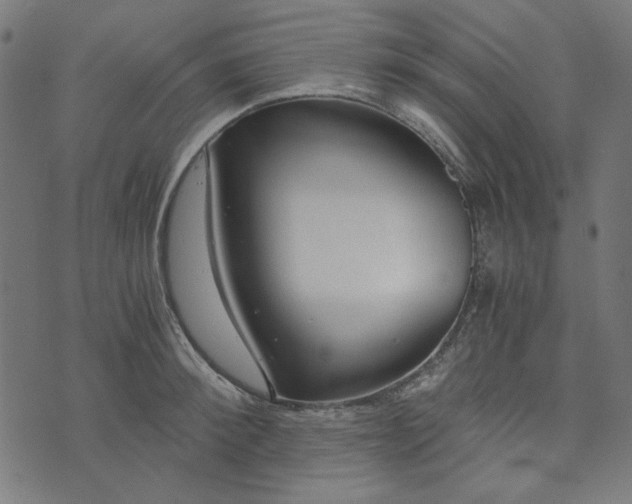 X0000073720900200608171200