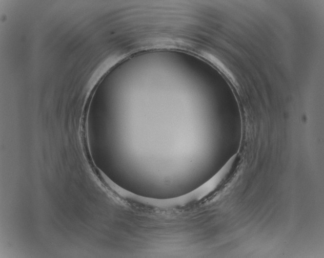 X0000073720901200608171200