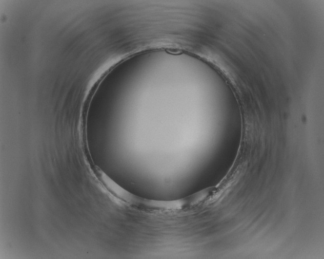 X0000073720902200608171200