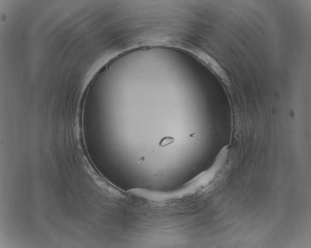 X0000073720904200608171200