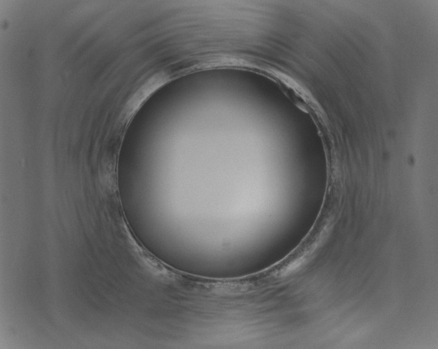 X0000073720905200608171200