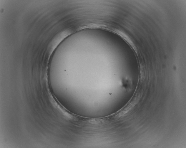 X0000073720906200608171200