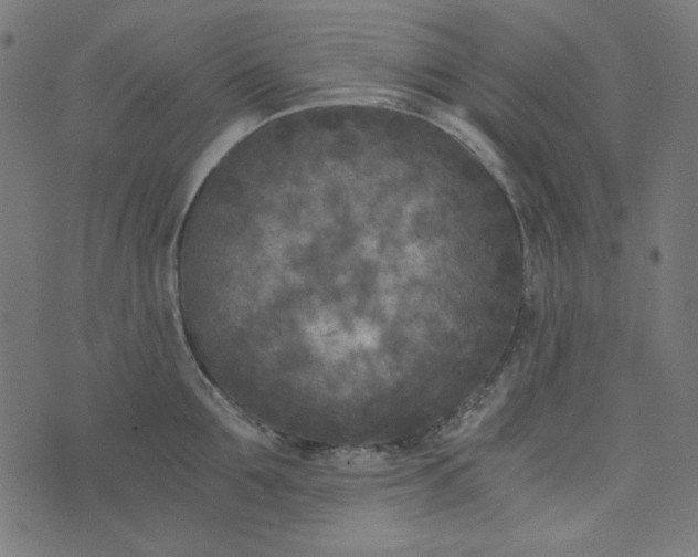 X0000073720907200608171200