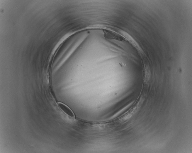 X0000073720908200608171200