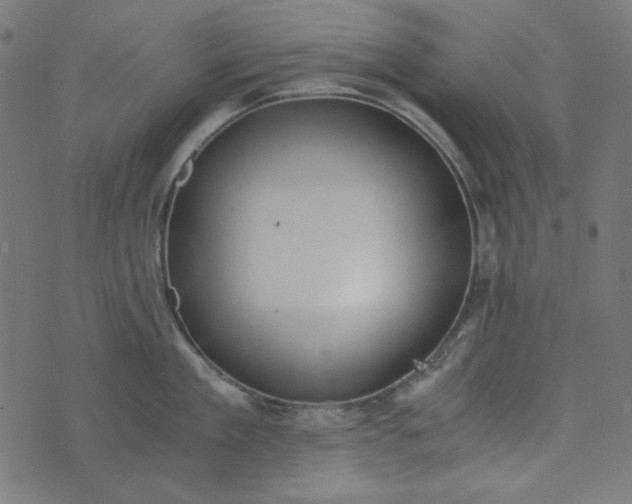 X0000073720909200608171200