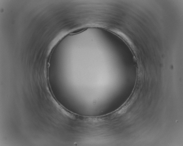 X0000073720910200608171200