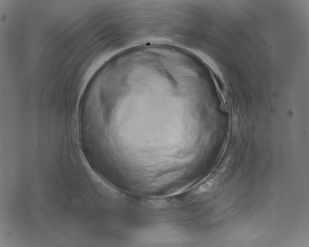 X0000073720911200608171200