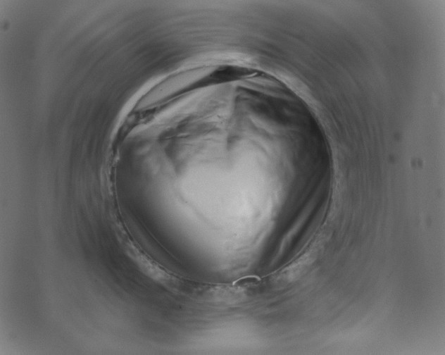 X0000073720912200608171200