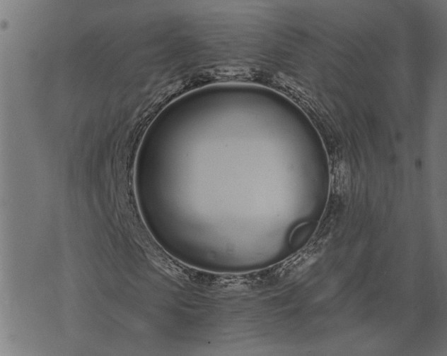 X0000073720913200608171159