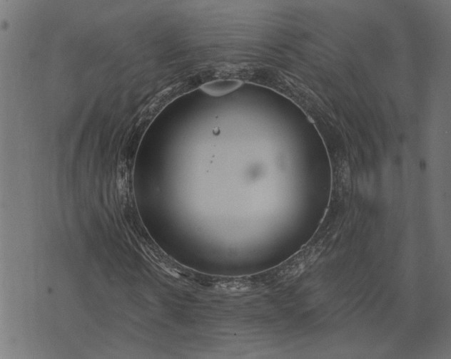 X0000073720914200608171159