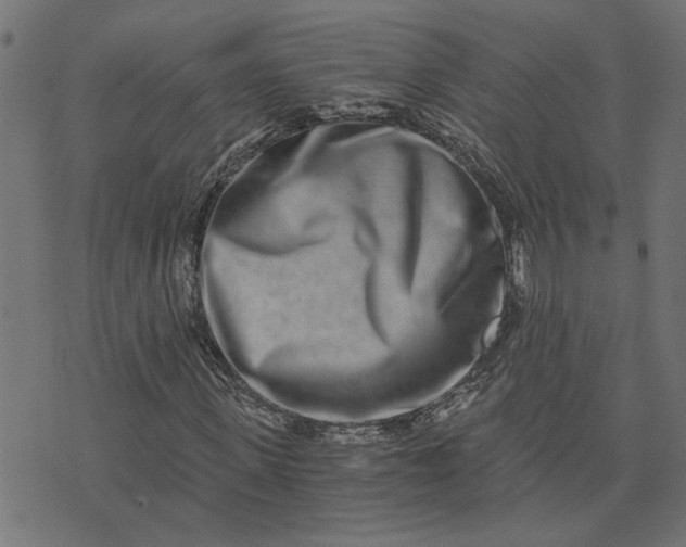 X0000073720915200608171159