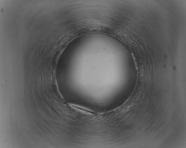 X0000073720916200608171159