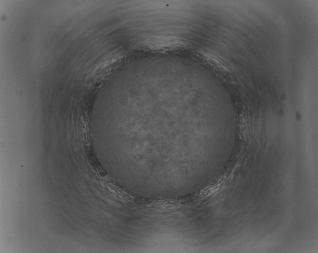 X0000073720917200608171159