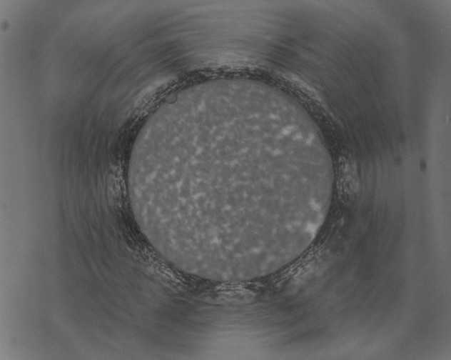 X0000073720918200608171159