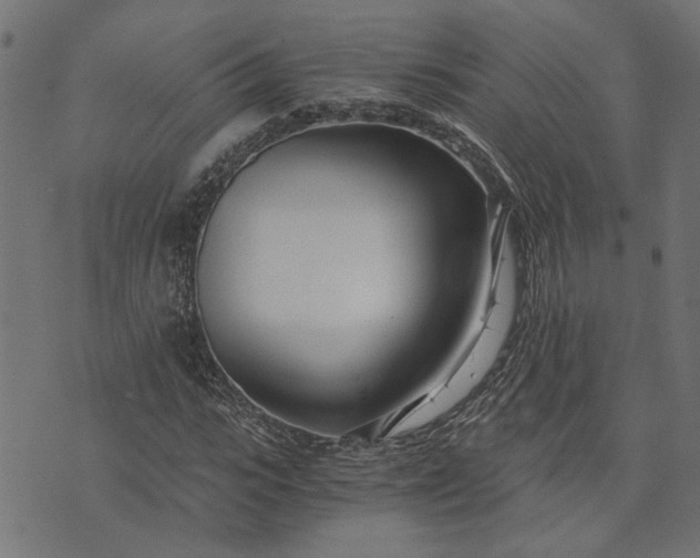 X0000073720919200608171159