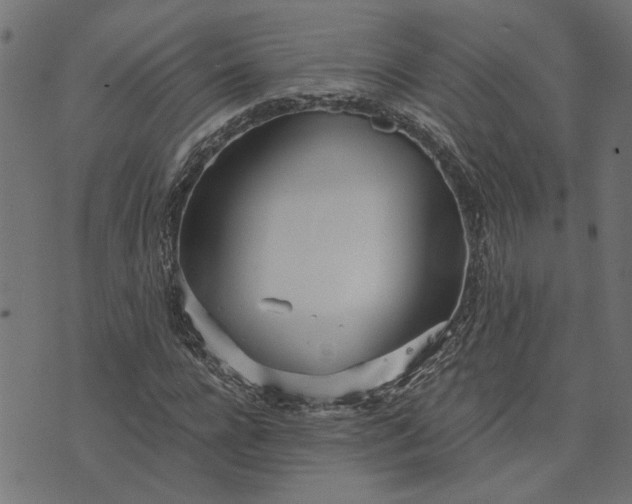 X0000073720920200608171159