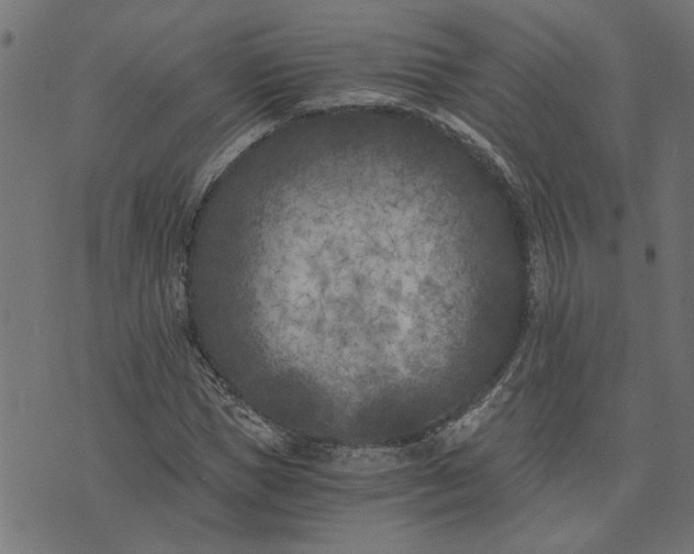 X0000073720921200608171159