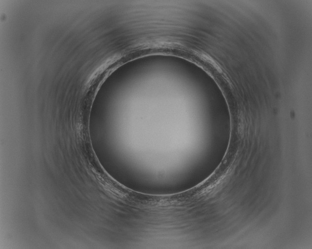 X0000073720922200608171159