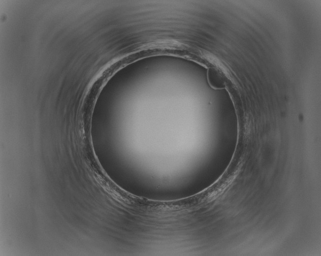 X0000073720923200608171159