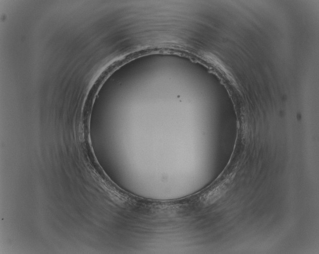 X0000073720924200608171159