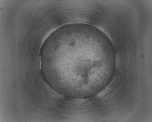 X0000073720925200608171159