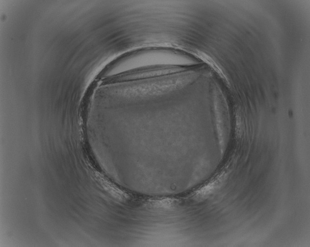 X0000073720926200608171159