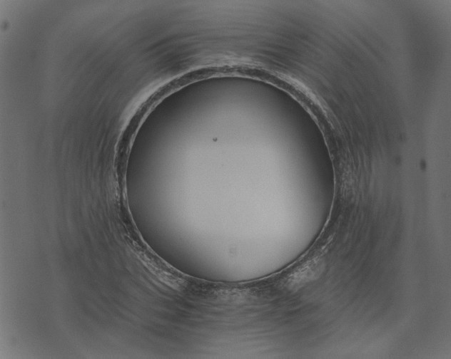 X0000073720927200608171159