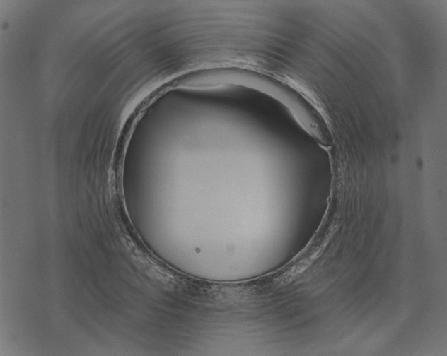 X0000073720928200608171159