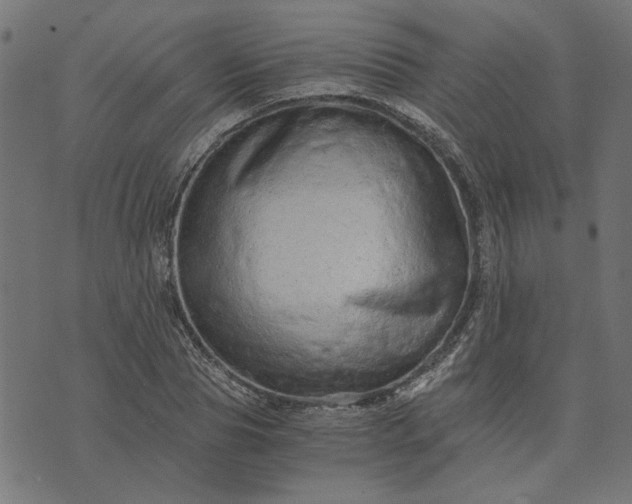 X0000073720929200608171159